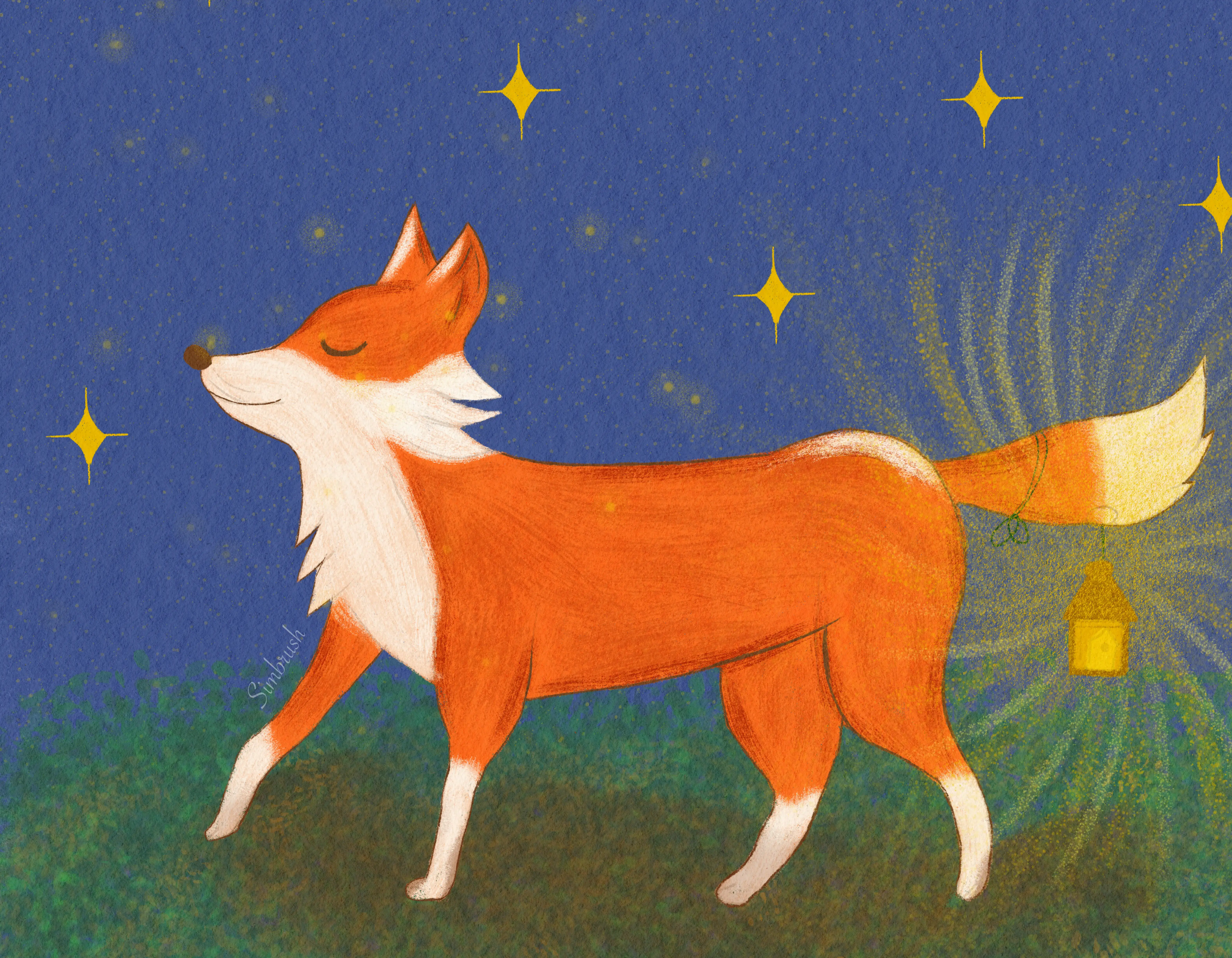 Líška a hviezdy